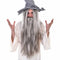 Adult Wizard Wig and Beard set